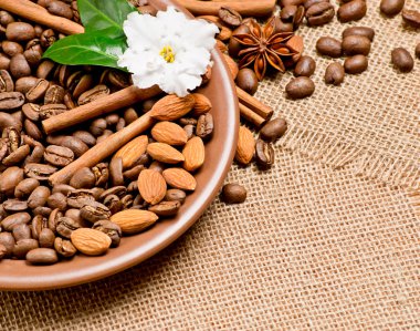 kahve çekirdekleri içinde baharatlar ile seramik tabak