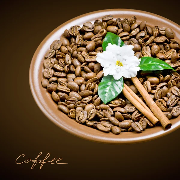 Coffee beans in ceramic plate with flower — Stock Photo, Image