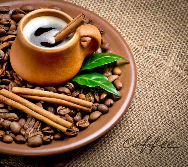 Coffee beans in ceramic plate with spices — Stock Photo, Image