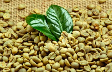 Yeşil kahve çekirdekleri ile arka plan 