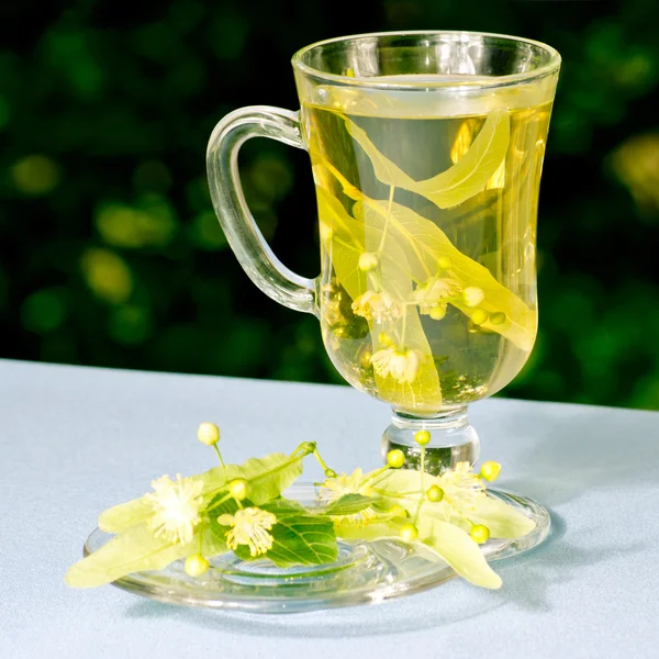 Filiżanka herbaty lipowej — Zdjęcie stockowe