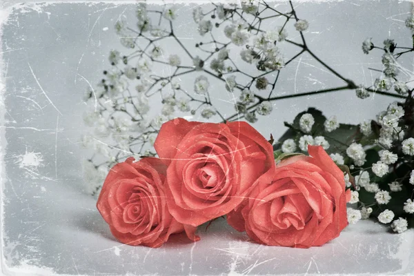 Bouquet de roses de style rétro — Photo