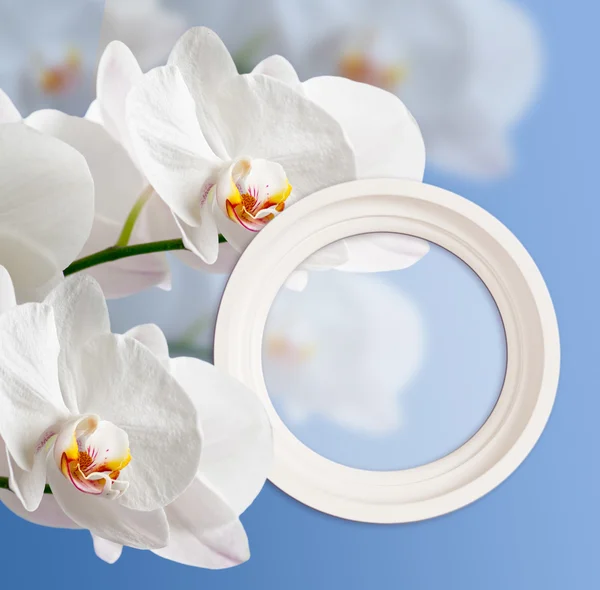 Orchidee und Fotorahmen — Stockfoto