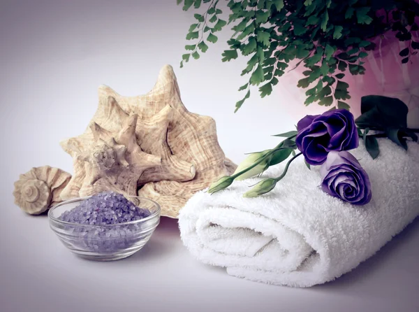 Spa salon with sea salt and shell — Stock Photo, Image