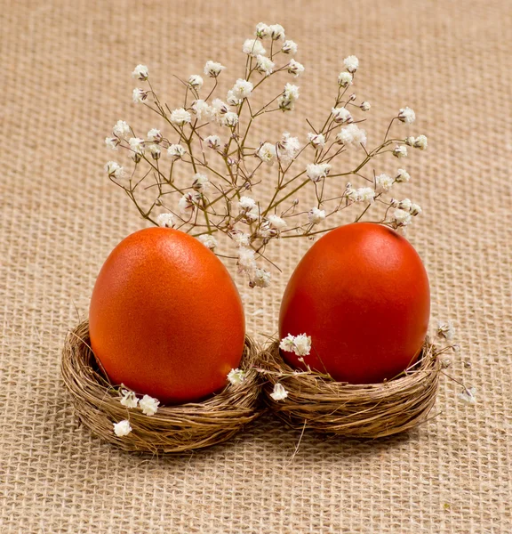 Nests  with Easter eggs and flowers — Stock Photo, Image