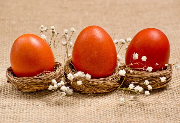 Гнезда с пасхальными яйцами и цветами — стоковое фото