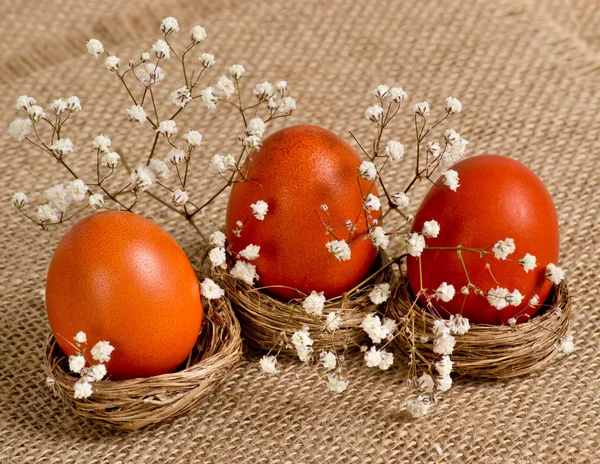 Nests  with Easter eggs and flowers — Stock Photo, Image