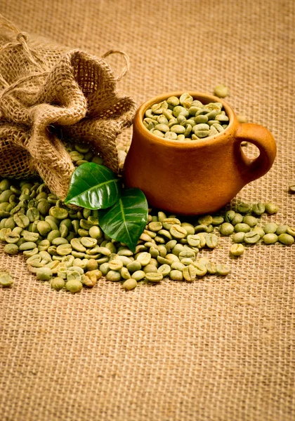 Grains de café vert — Photo