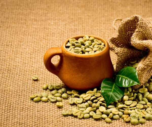 Grãos de café verde — Fotografia de Stock