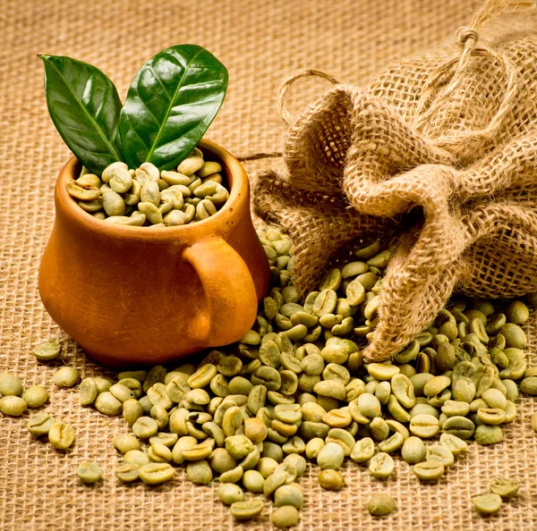 Yeşil kahve çekirdekleri 