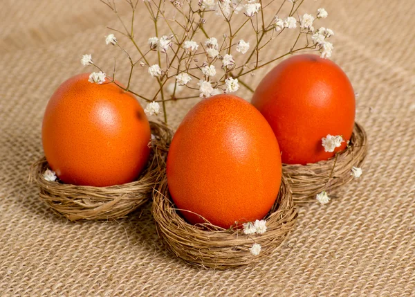 Гнезда с пасхальными яйцами и цветами — стоковое фото
