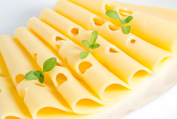 Cheese with mint leaves — Stock Photo, Image