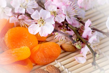 kurutulmuş kayısı badem ve bambu napk çiçek şube