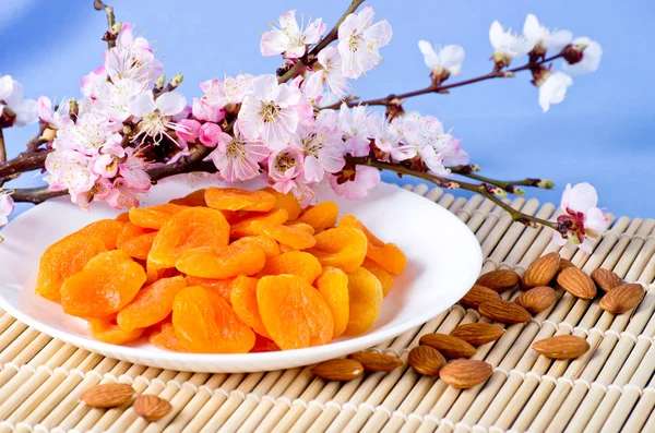 Sušené meruňky s mandlemi a kvetoucí větve — Stock fotografie