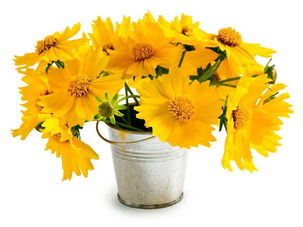 Boeket gele bloemen in een kleine emmer — Stockfoto