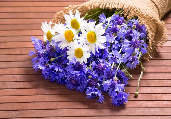 Bouquet of daisies and cornflowers — Stock Photo, Image