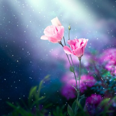 Fantezi Eustoma çiçek bahçesi Büyülü peri masalı elf ormanı Büyüleyici peri masalı çiçek açan narin güller büyülü gece karanlığında ay ışığıyla kaplı gizemli çiçek arkaplanı.