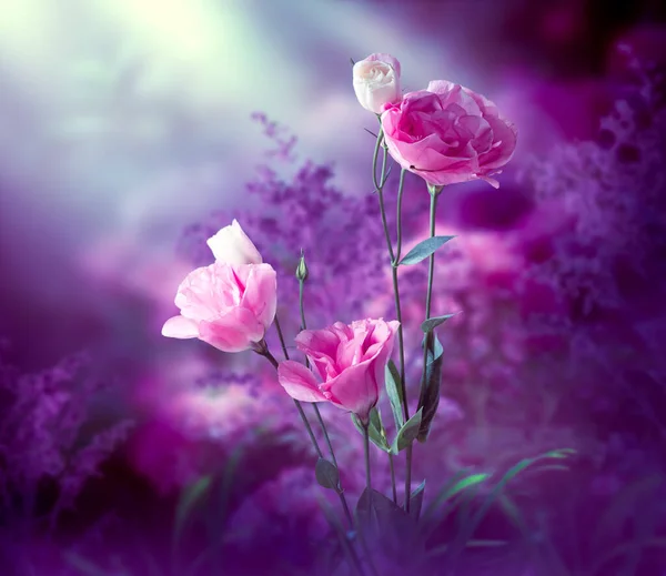 Φαντασία Eustoma Λουλούδια Κήπο Μαγεμένο Παραμύθι Ονειρικό Δάσος Ξωτικών Μυθικό — Φωτογραφία Αρχείου