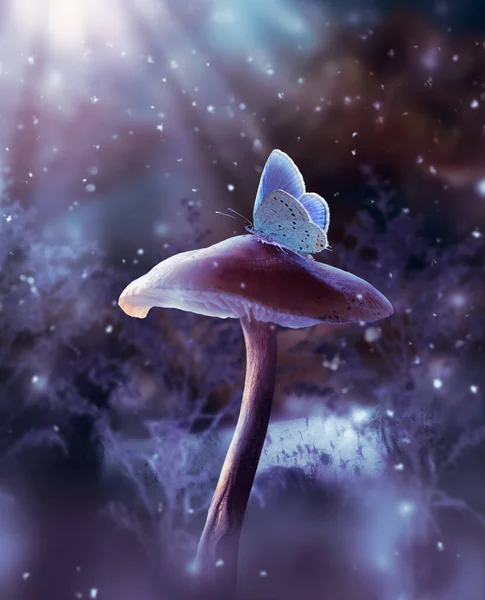 Grzyb Fantazji Niebieski Motyl Zaczarowanym Bajkowym Lesie Elfów Marzycielskich Bajeczne Obraz Stockowy