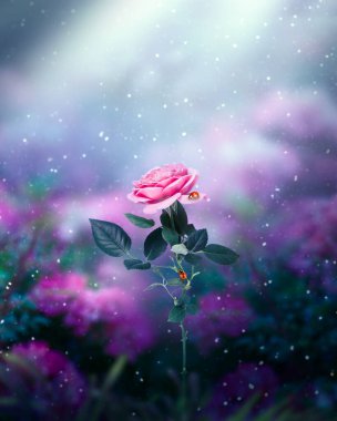 Pembe Gül Çiçeği ve peri masalı elf ormanında iki uğur böceği, gizemli gece yarısı mavi arka planda peri masalı açıklığıyla sihirli sahne, gece karanlığında ay ışınlarıyla sihirli orman.