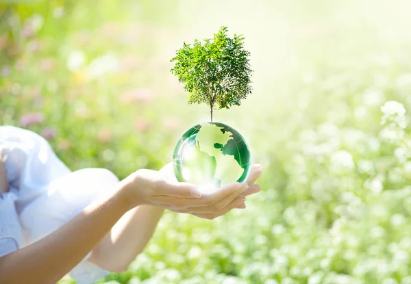 Earth Day World Environment Day Environmentally Friendly Concept Our Planet — 图库照片