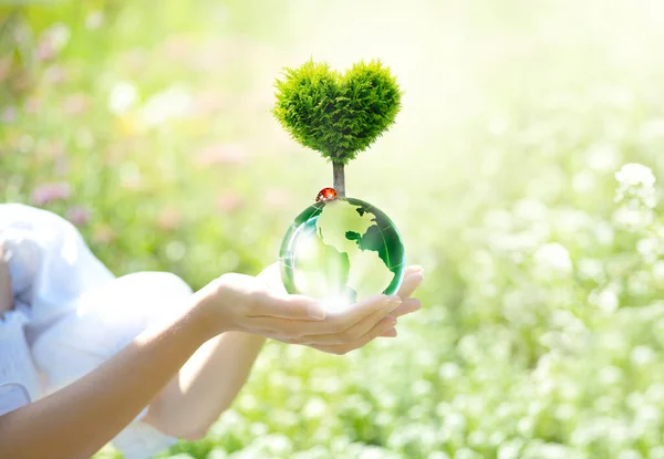 Earth Day World Environment Day Environmentally Friendly Ecology Concept Clean — стоковое фото