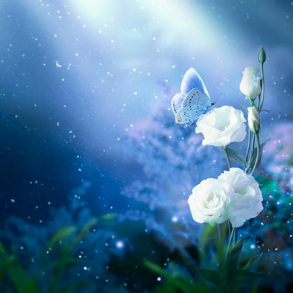 Fantasy Eustoma flowers garden and blue butterfly in enchanted fairy tale dreamy forest, fairytale blooming white roses in magical night darkness on mysterious dark floral background with moon rays.