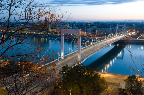 Bridge Elisabeth - Erzsébet híd Obrazy Stockowe bez tantiem