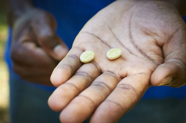 Raw coffee beans — Stock Photo, Image