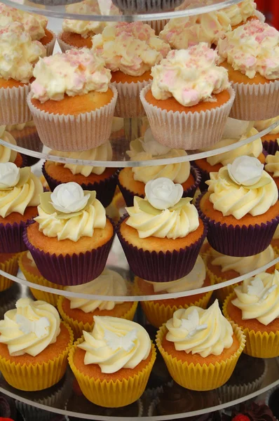 Cupcake assortment — Stock Photo, Image