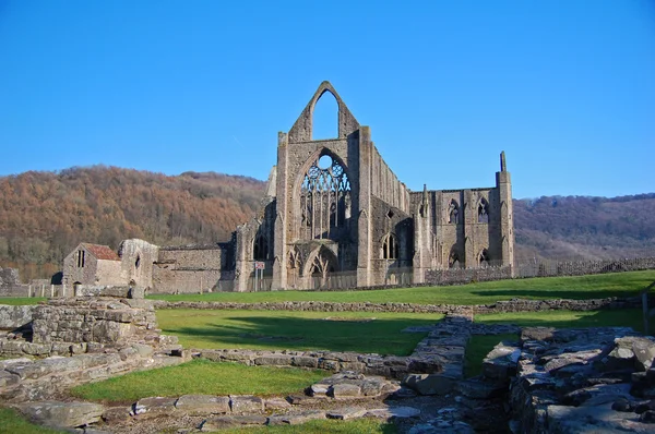 Tintern Abbey
