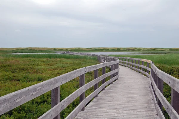 Boardwalk kumulları