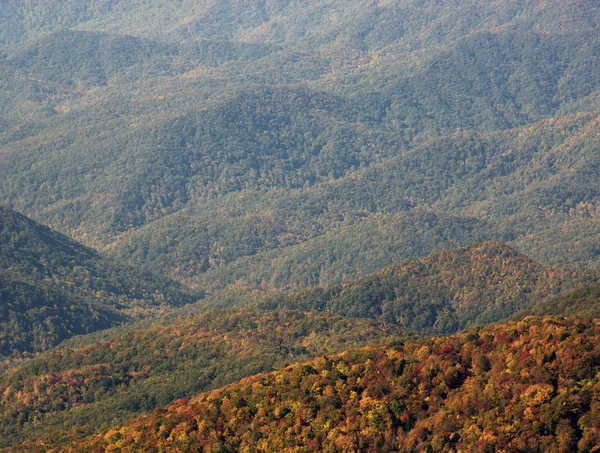 Árvores coloridas em Great Smoky Mountains National Park — Fotografia de Stock