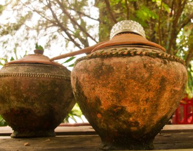 Tay su pot