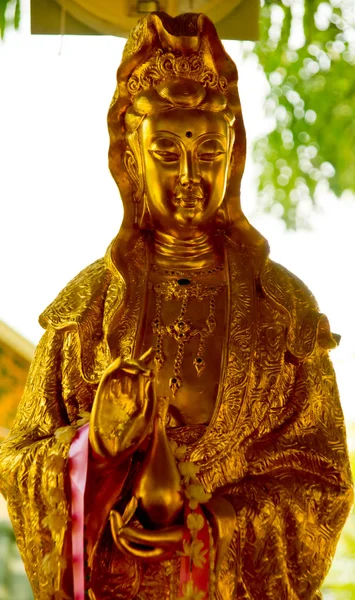 Guan yin. — Stockfoto