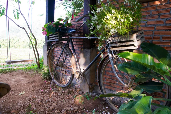 Gammal cykel — Stockfoto