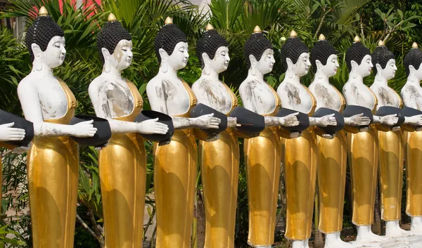 Buddha statuer - Stock-foto
