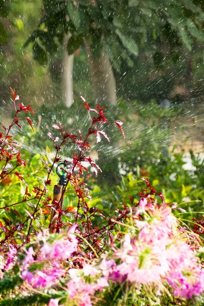 自动喷水灭火 — 图库照片