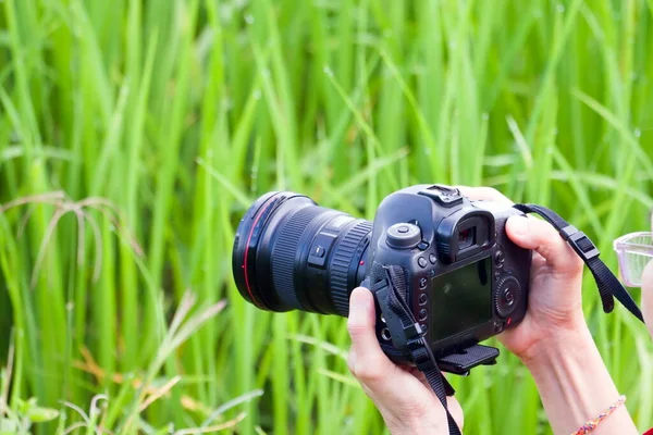 Photographer Take Pictures Snapshot Camera Green Background — стоковое фото