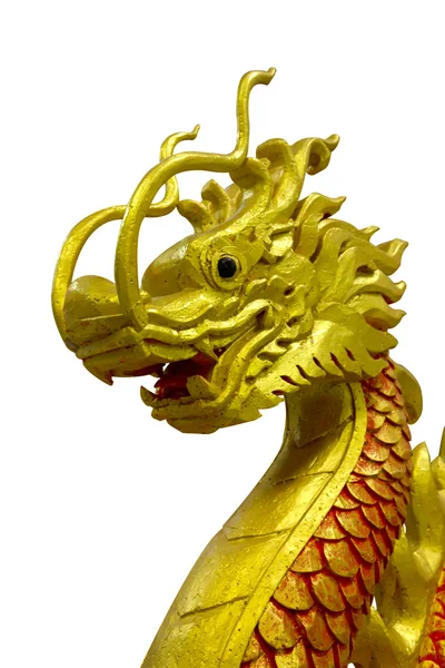 Goldener chinesischer Drache auf isoliertem Hintergrund — Stockfoto