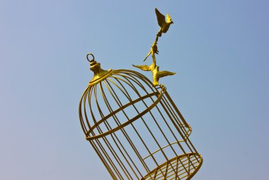 Sanat boş kuş altın kafes