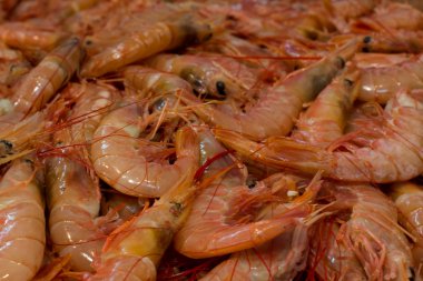 Kral balığı markette karides