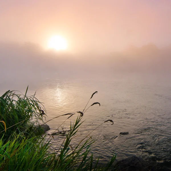 Amanhecer nebuloso colorido no lago — Fotografia de Stock