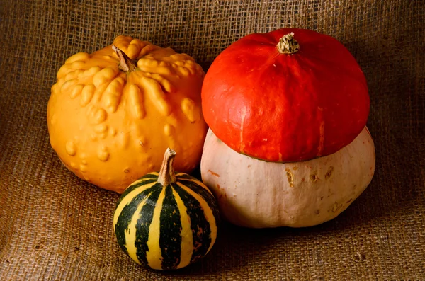 Unusual yellow pumpkin, orange hat pumpkin and small watermelon — Stock Photo, Image