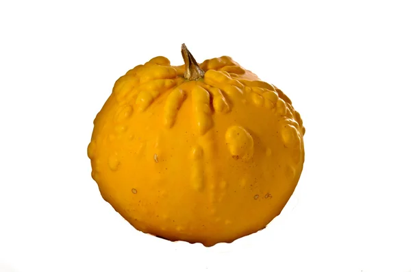 Ovanliga gul pumpa — Stockfoto