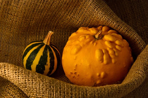 Unusual yellow pumpkin and small watermelon — Stock Photo, Image