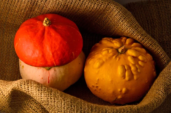 Unusual yellow pumpkin, orange hat pumpkin and small watermelon — Stock Photo, Image