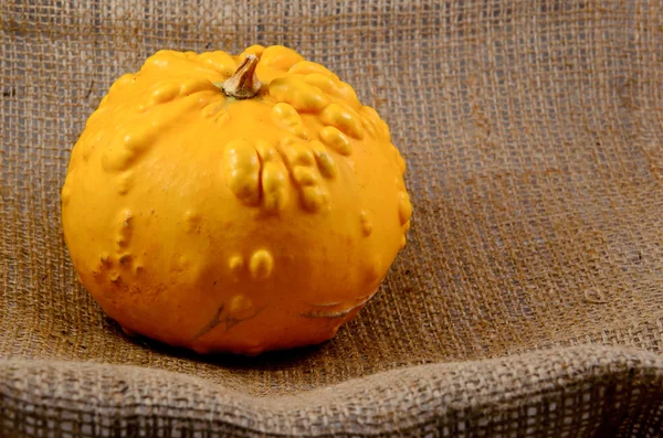 Unusual yellow pumpkin — Stock Photo, Image