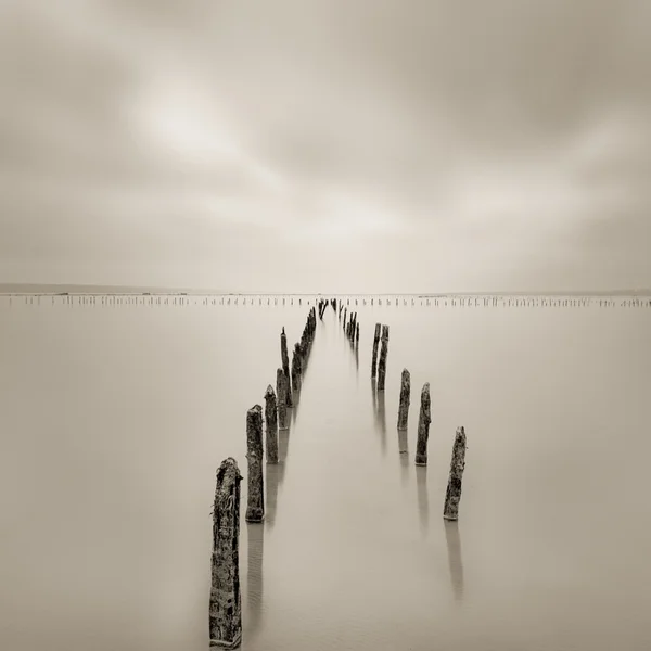 Pólos na água - conceito de silêncio — Fotografia de Stock