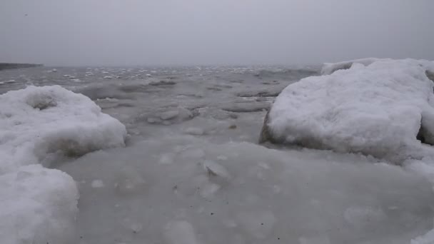Polars frozen ocean in the fog - ice-floes on the waves and seagulls fly, with the sound of ocean noise — Stock Video